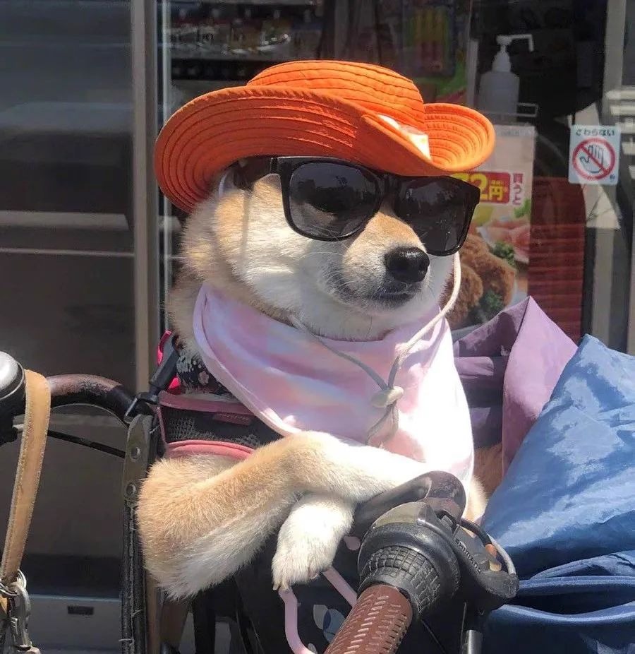 large picture of the cover